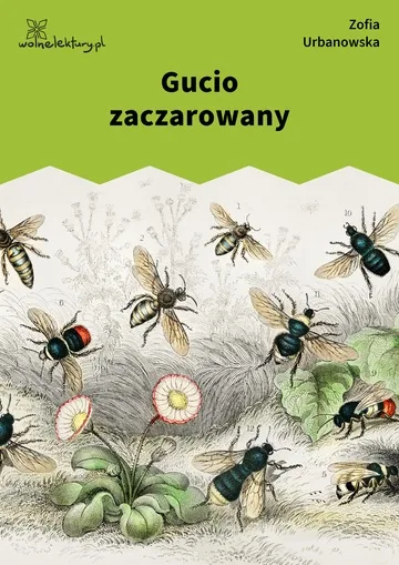 Gucio zaczarowany