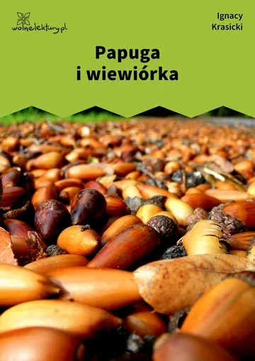 Papuga i wiewiórka