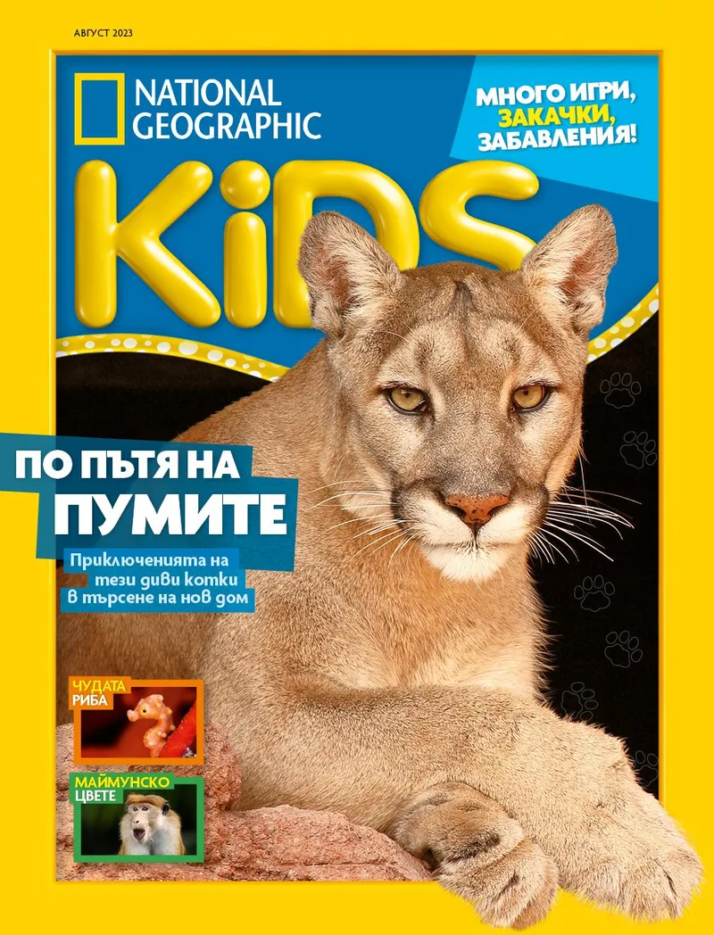 Август Кидс 2023