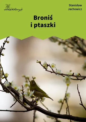 Broniś i ptaszki