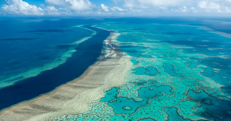 Study: Hottest Oceans in 400 Years Endanger Great Barrier Reef