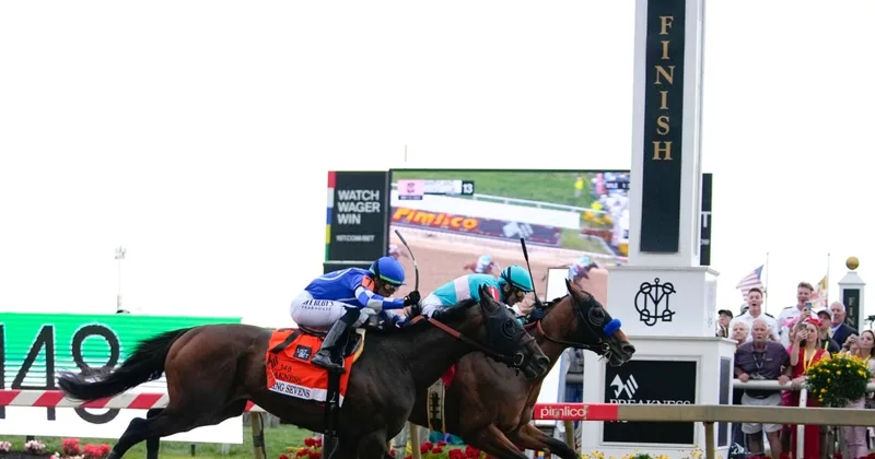 'Beating a Dead Horse' Is Pointless