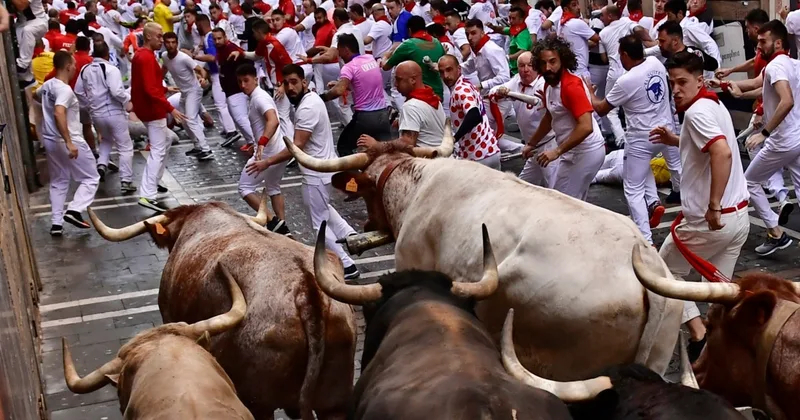 Are You a 'Bull in a China Shop'?