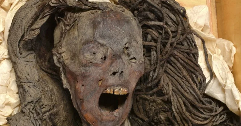Ancient Egyptian Woman’s Suffering Frozen in Final Scream