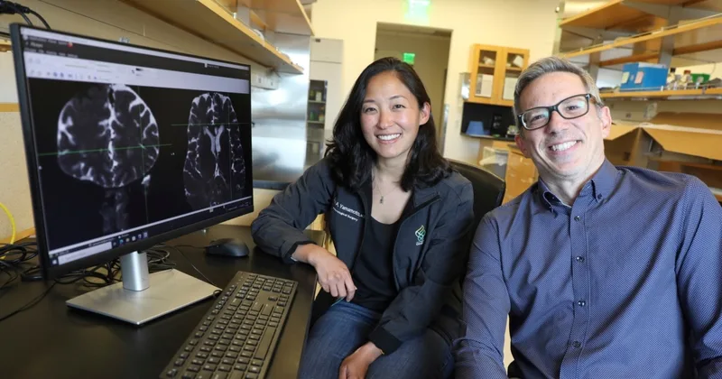 Study: How the Brain Cleans Itself