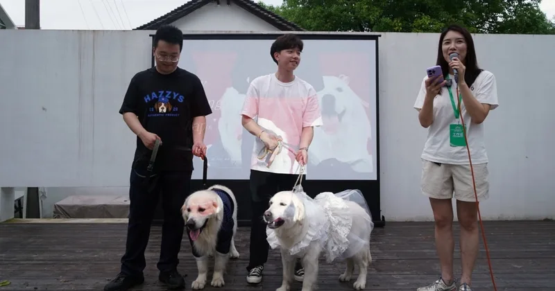 Dog Weddings on the Rise in China