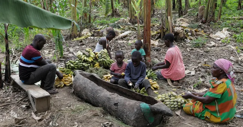 Ugandan Homemade Drink Threatened by Bill, Market Changes