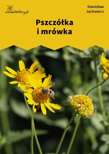 Pszczółka i mrówka
