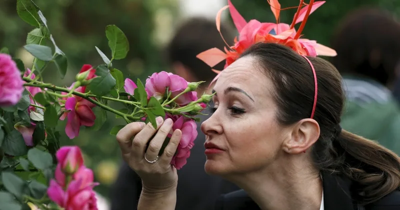 The Bad Side of Roses