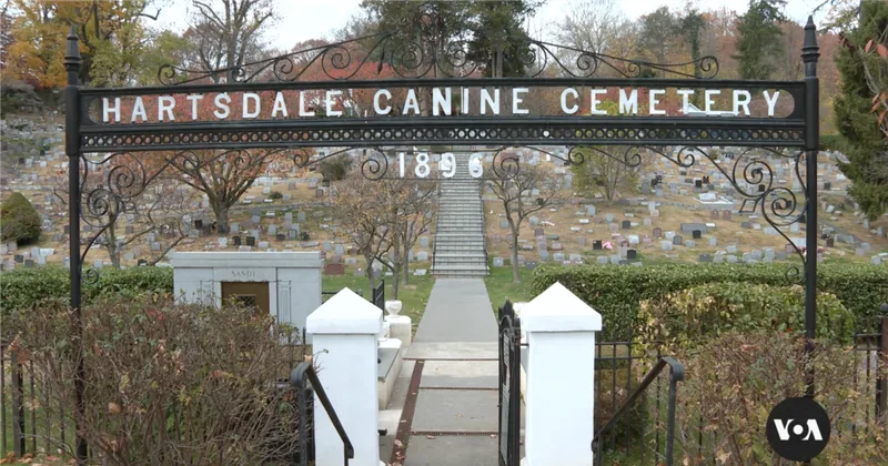 Oldest Pet Burial Ground in America Is Final Resting Place for Thousands