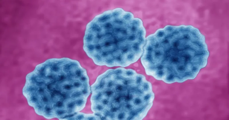 HPV: Най-честата полово предавана инфекция и митове около нея