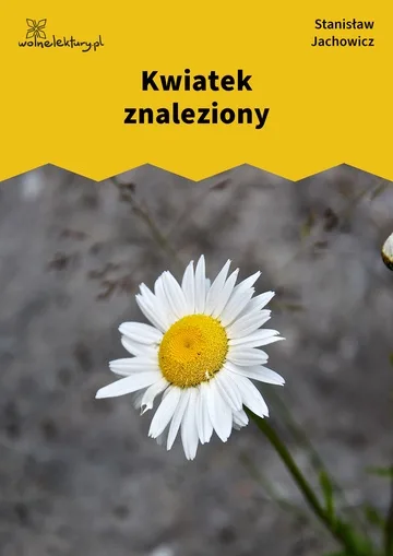 Kwiatek znaleziony