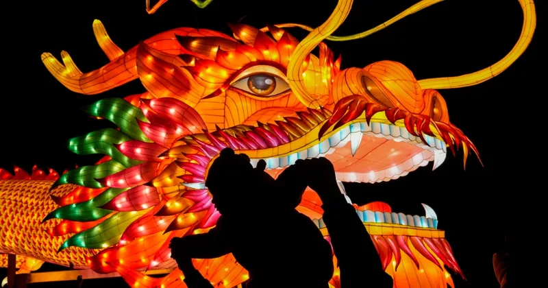 What Is the Lunar New Year?