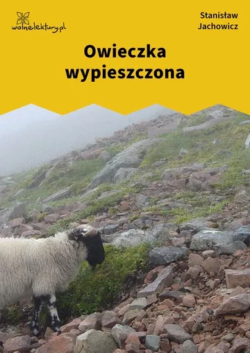 Owieczka wypieszczona